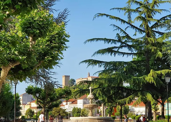 Appartement Acogedor En El Centro De Monforte *